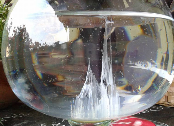 La barca di San Pietro è ancora in auge nella Bassa