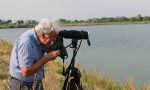 Dalla cava Tem un'oasi naturalistica unica nel suo genere (VIDEO)