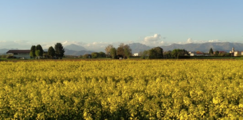 Buon compleanno Parco Agricolo Nord Est