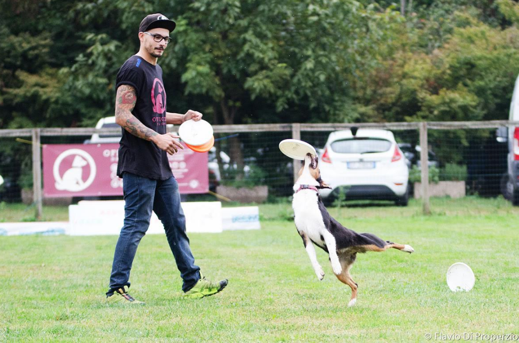 Arriva il super raduno dei Jack Russell Terrier 2018
