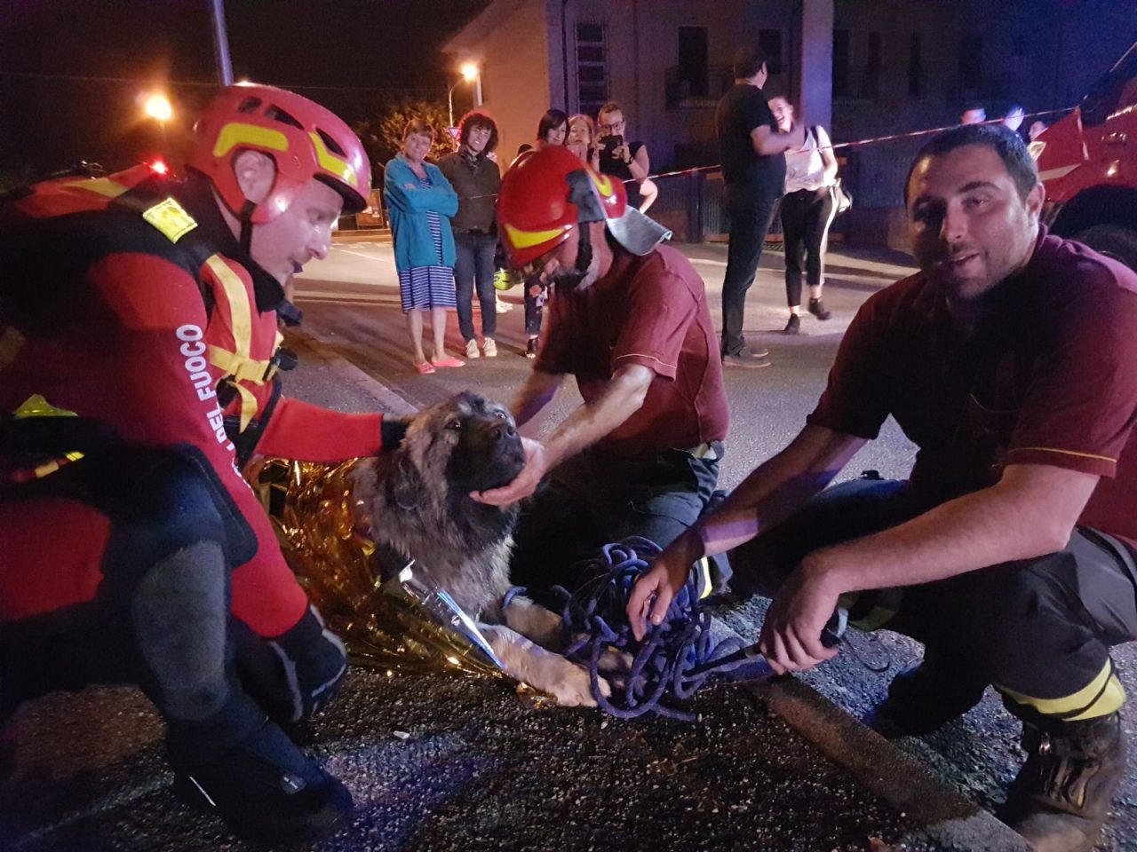 Cane finisce nella roggia, salvato dai pompieri FOTO