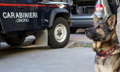 Operazione dei Carabinieri: segnalati due 23enni