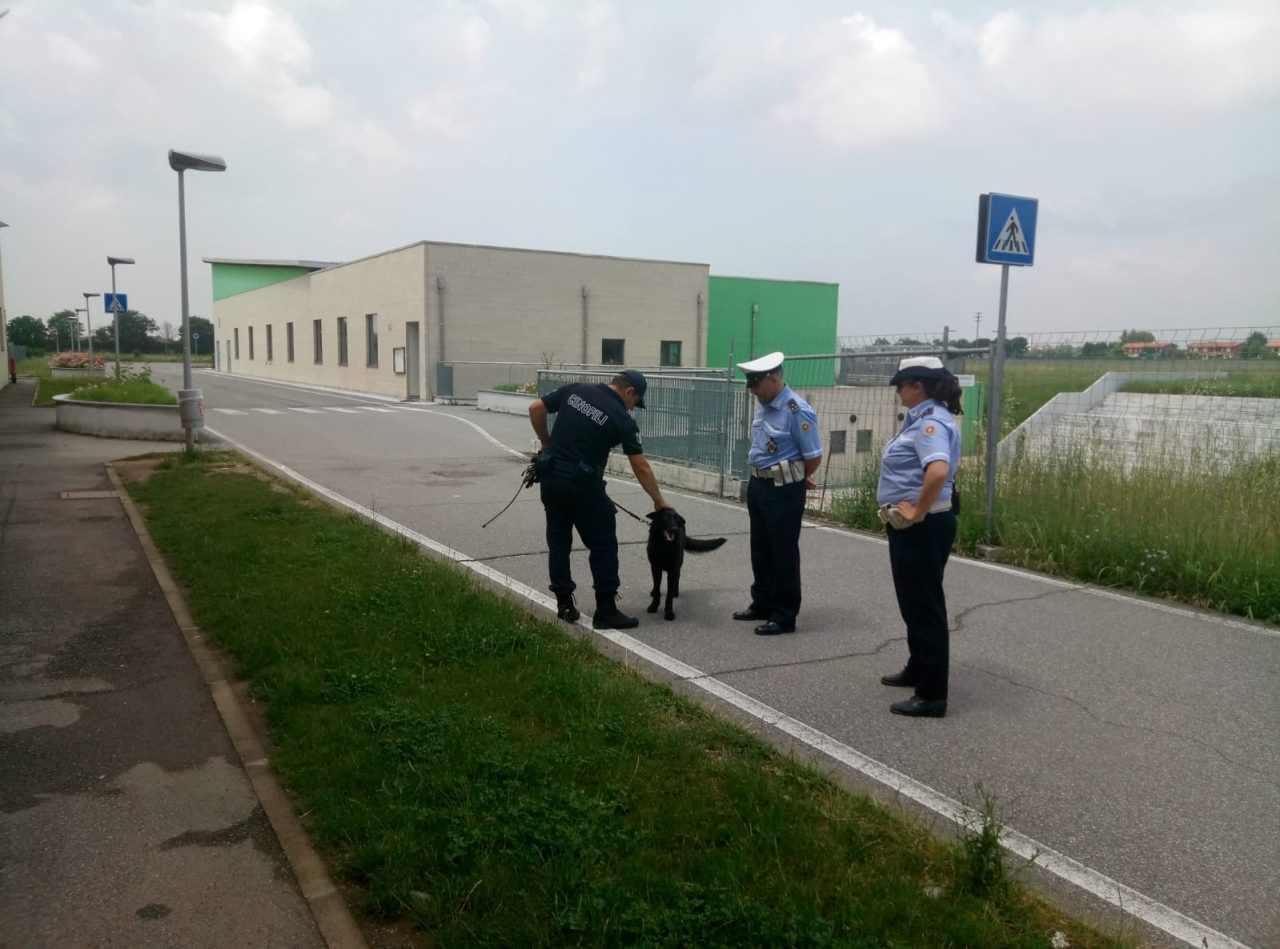 Trezzano Rosa e Pozzo Polizia Locale e cani antidroga alle medie