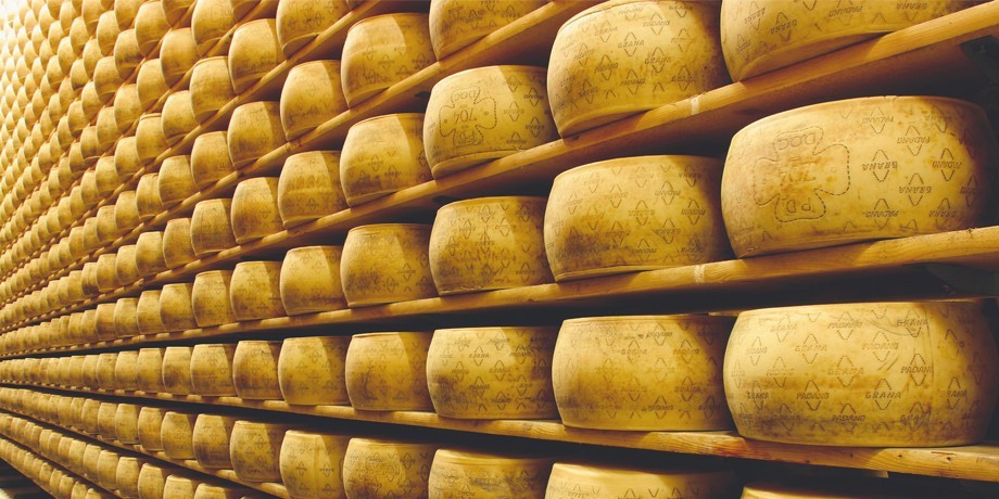A processo per aver rubato cinque forme di Grana Padano