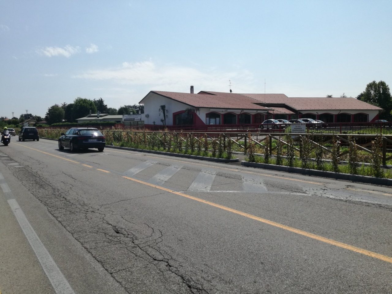 Pista ciclabile nuova la siepe lasciata senza acqua è seccata