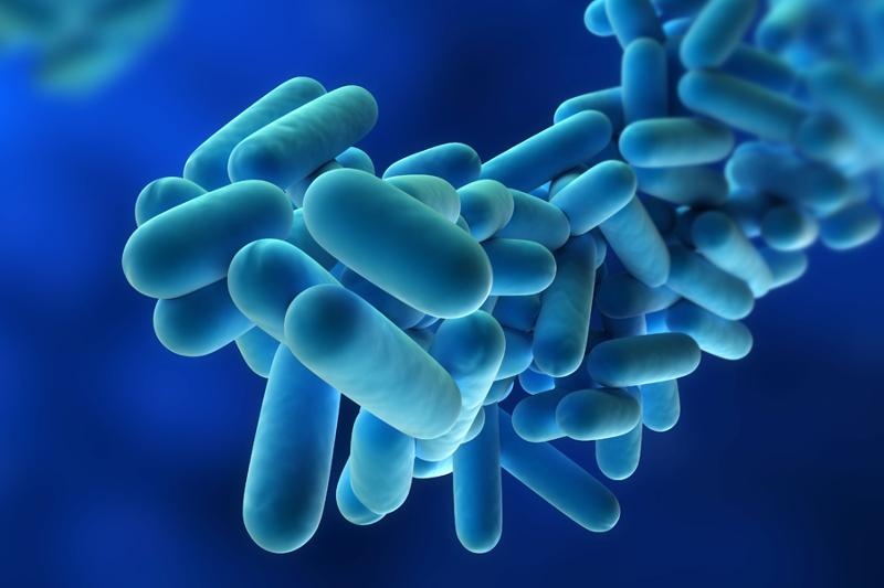 Legionella, un caso anche Saronno in provincia di Varese