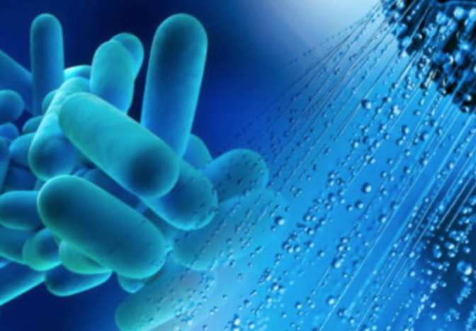 Legionella a Bresso: attivata anche una info line per cittadini