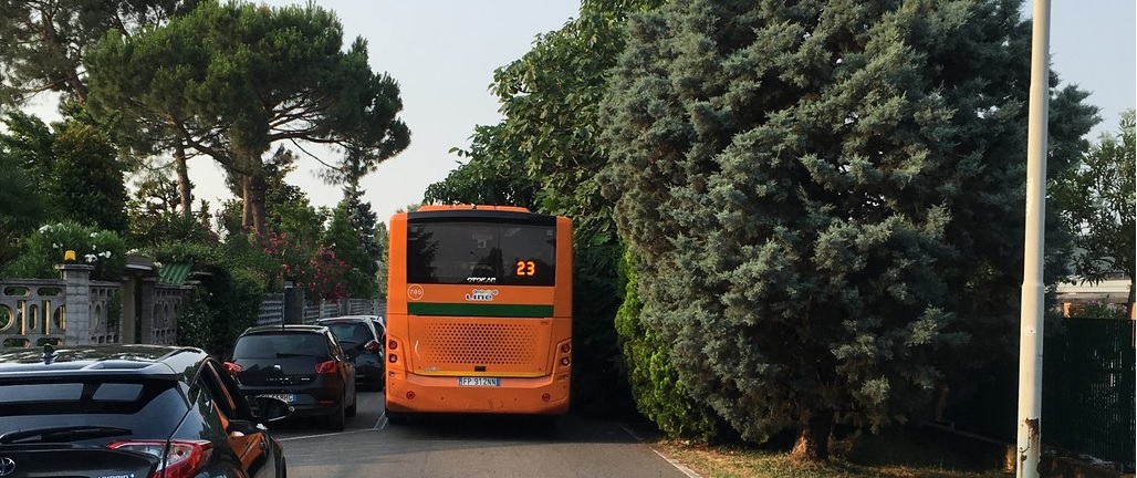 Erba alta a Cernusco: “Sul pullman sembra di essere nella jungla”