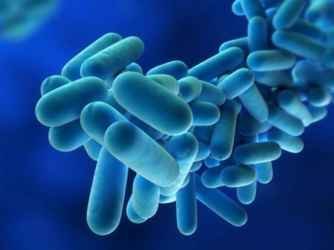 Legionella, altri tre casi e un morto a Milano
