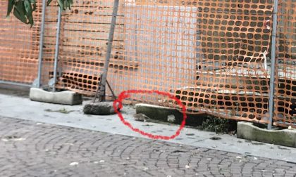 Topi nel centro storico protesta dei commercianti