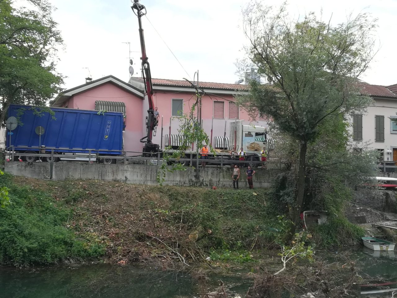 Canale Linificio, in corso la rimozione del pioppo gigante FOTO
