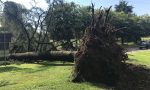 Tombe danneggiate dagli alberi caduti: il Comune paga i danni