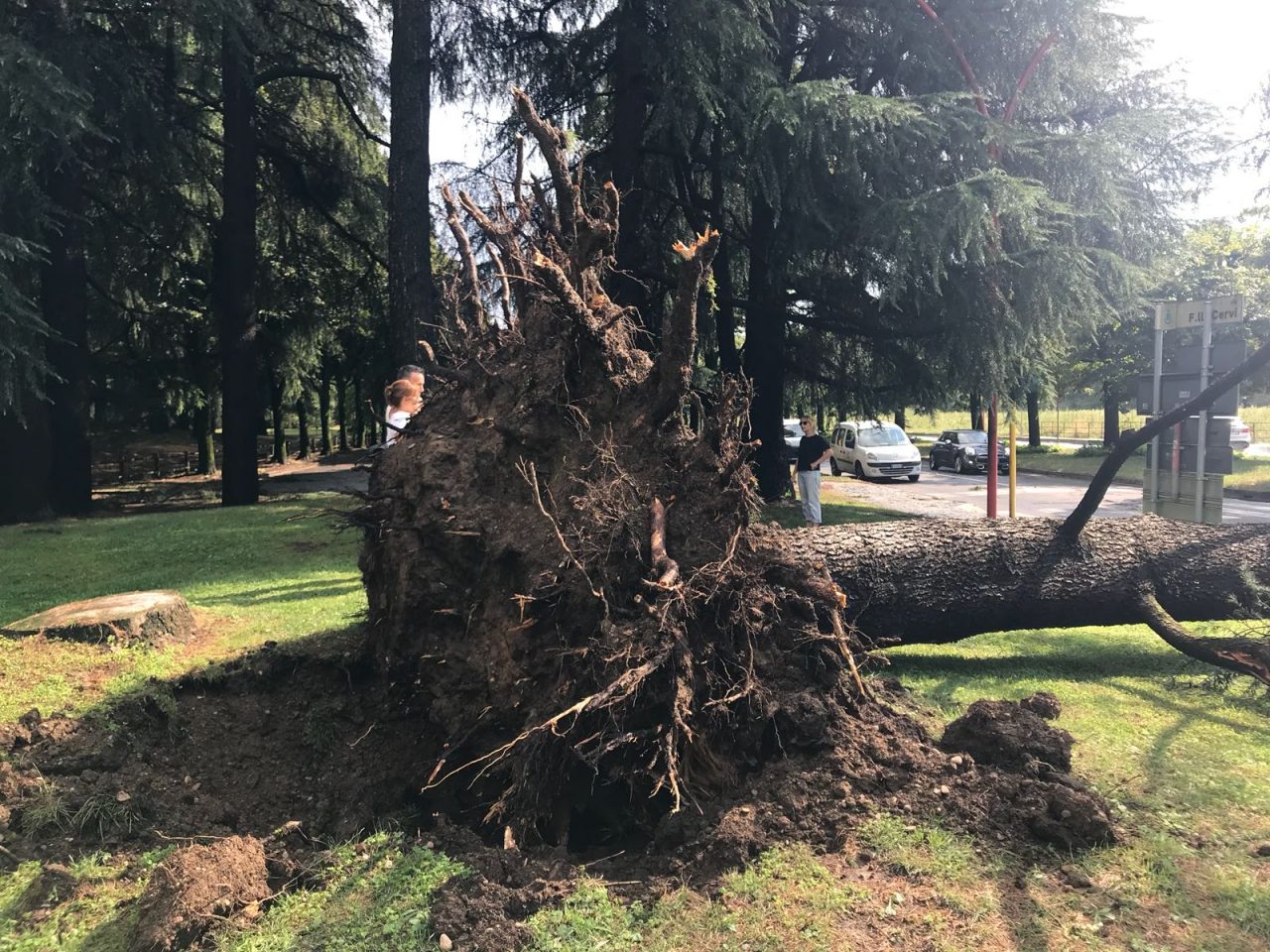 Pompiere ferito mentre rimuove alberi caduti