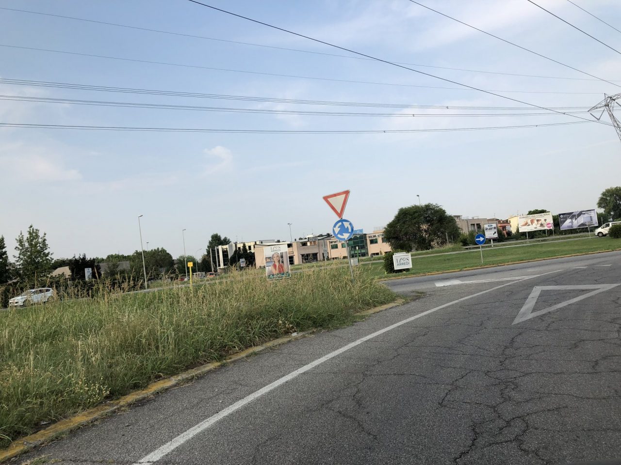 Erba alta nasconde la rotonda, gli automobilisti protestano