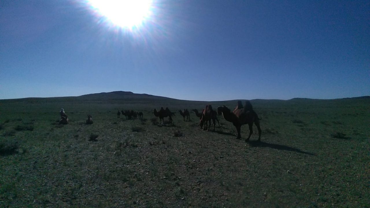 Mongolia
