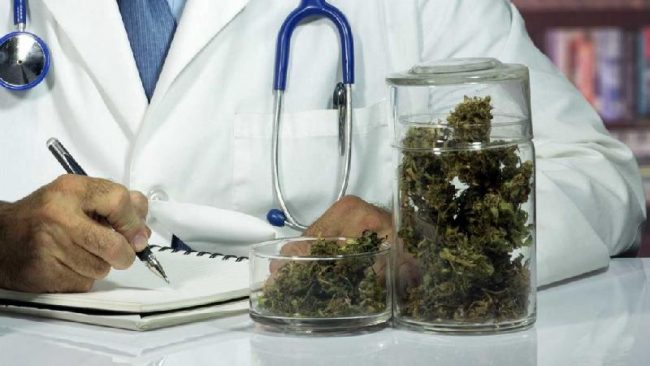 Cannabis terapeutica, Lombardia dà il via a cure gratuite