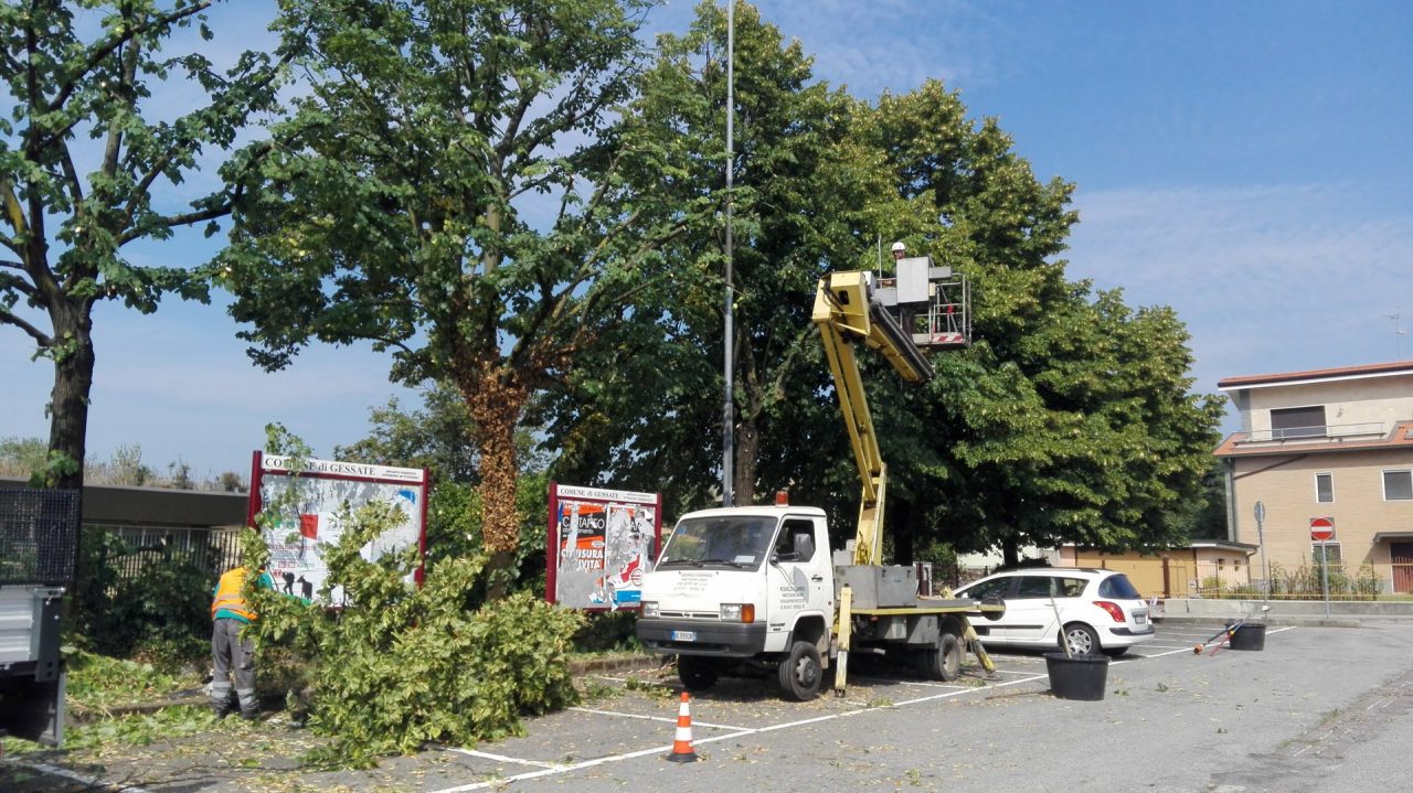 Potatura alberi nel parcheggio della scuola media