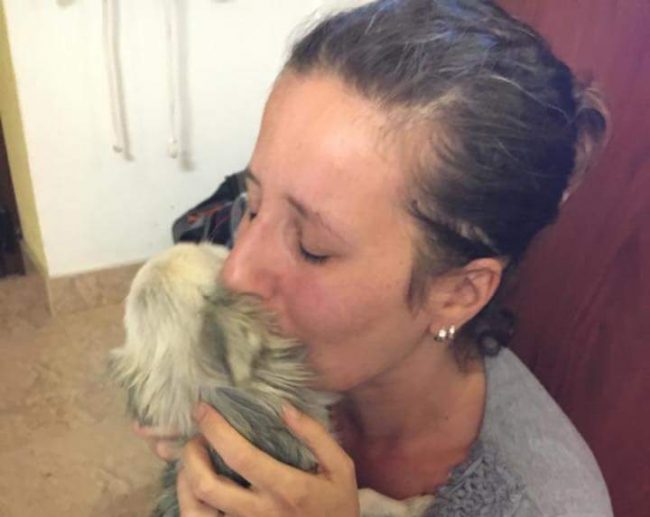 Dopo quasi due anni il Chihuahua Cherry ritorna a casa