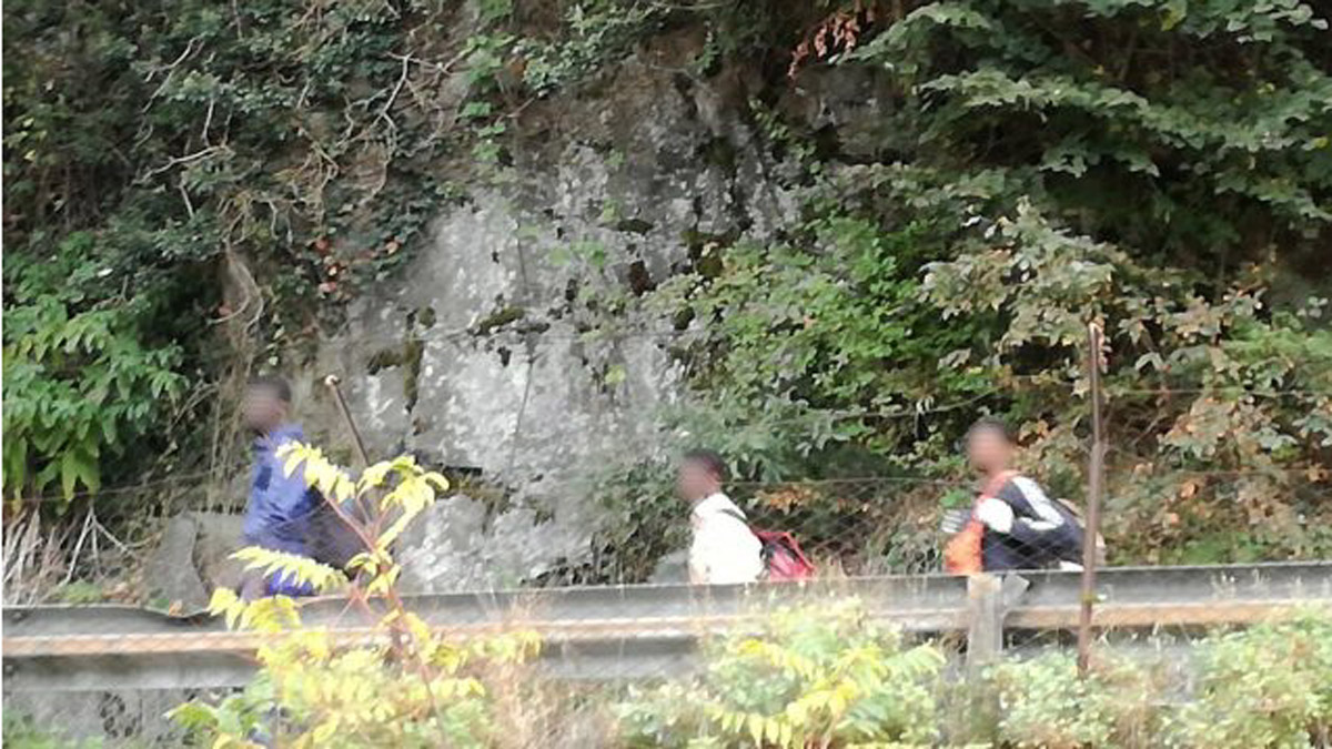 I migranti fanno razzia di castagne e in Valtellina corrono ai ripari