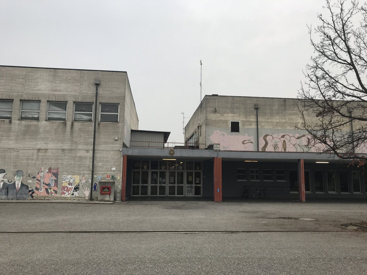 Invasione di vespe evacuata la scuola media Mascagni