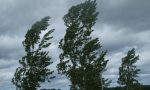 Raffiche di vento fino a 70 Km/h:  in Martesana è allerta arancione