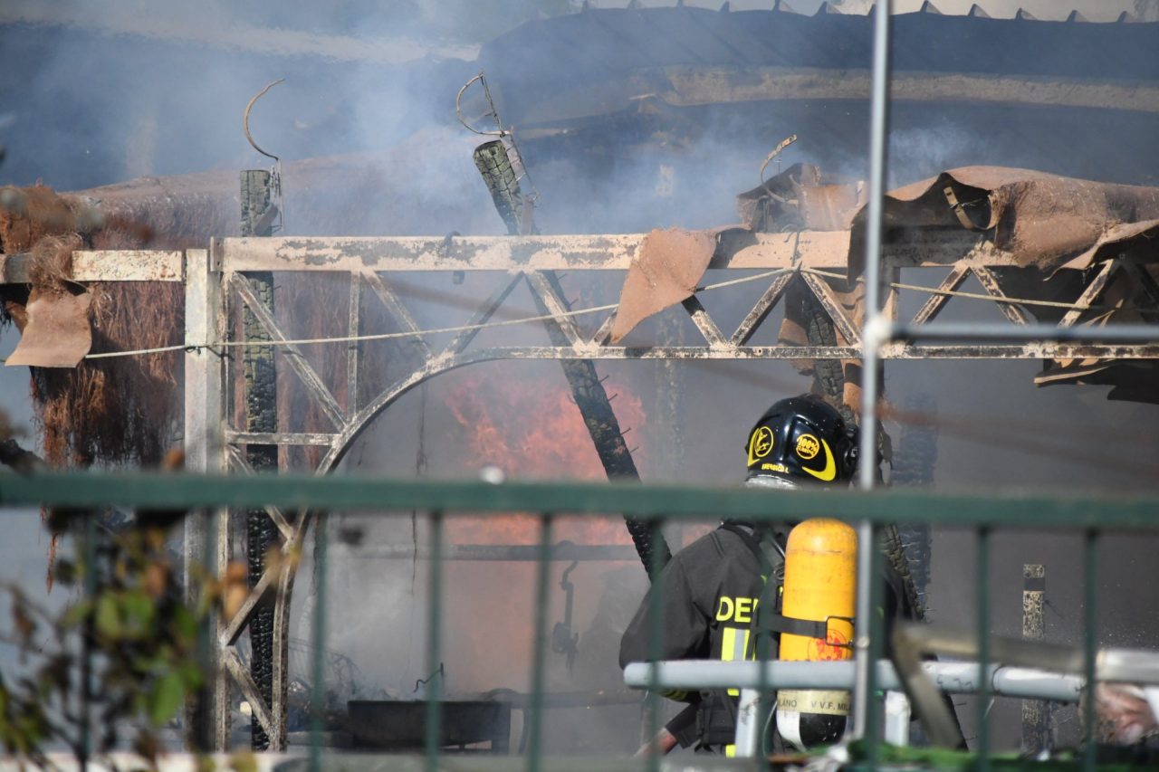 Incendio in deposito a Gessate morti alcuni pappagallini FOTO e VIDEO