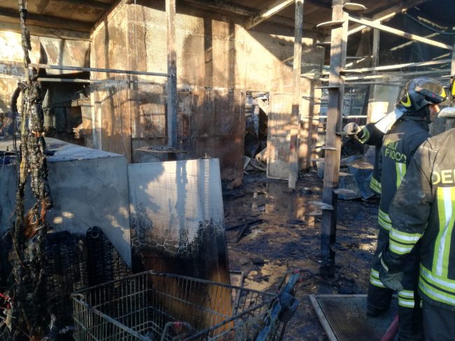 Incendio al gattile di Rho, strage di mici