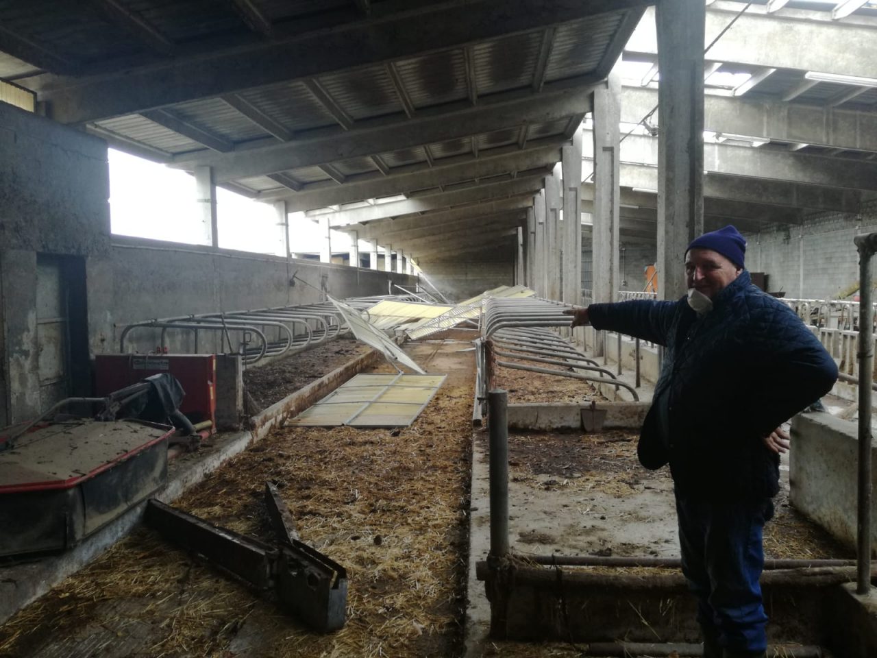Maltempo nel Cremasco | Coldiretti: “Serre e stalle distrutte, campi allagati” FOTO