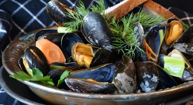Vibrione del colera nelle cozze