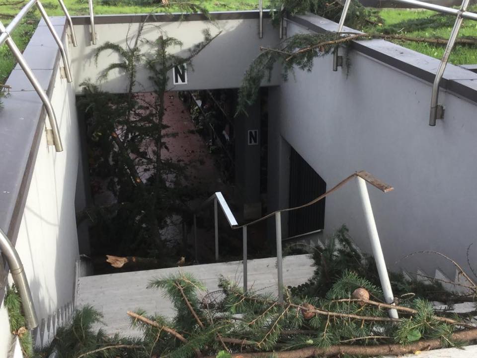 Alberi caduti per il maltempo al cimitero: camposanto chiuso