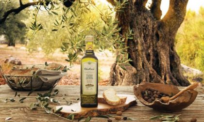 Fratelli Carli: una lunga festa per l’arrivo dell’olio nuovo
