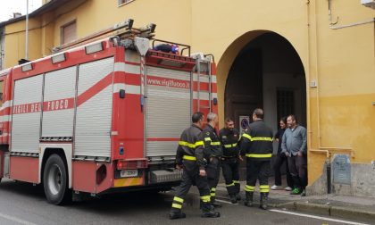 Nido di calabroni in una casa, arrivano i pompieri