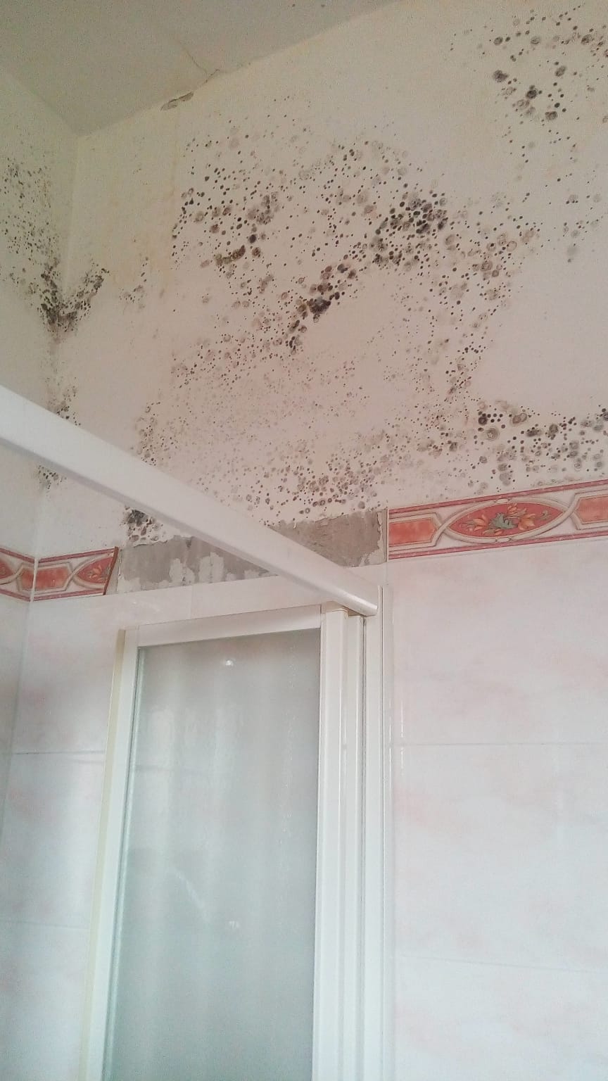 Cassano d'Adda la casa della famiglia sfollata danneggiata dal maltempo tromba d'aria del 29 ottobre