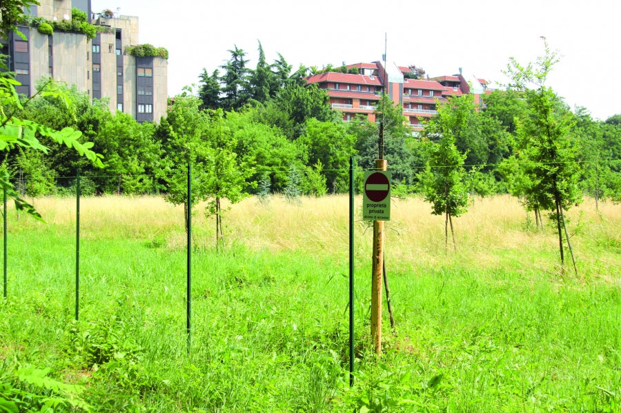 Comune di Segrate condannato a risarcire 1,35 milioni di euro