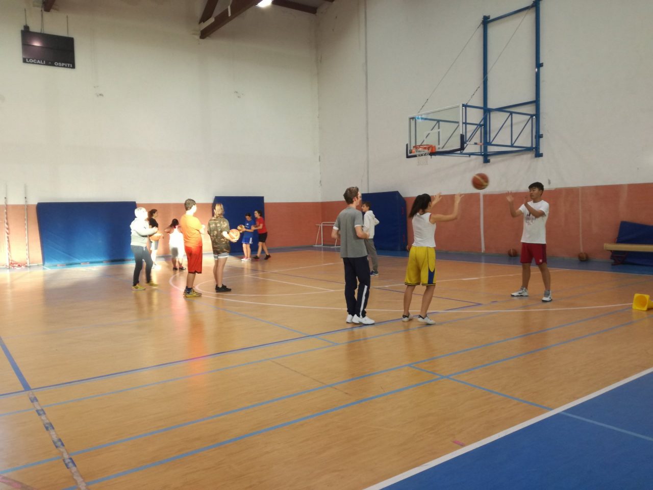 Palestra “vietata” a Inzago