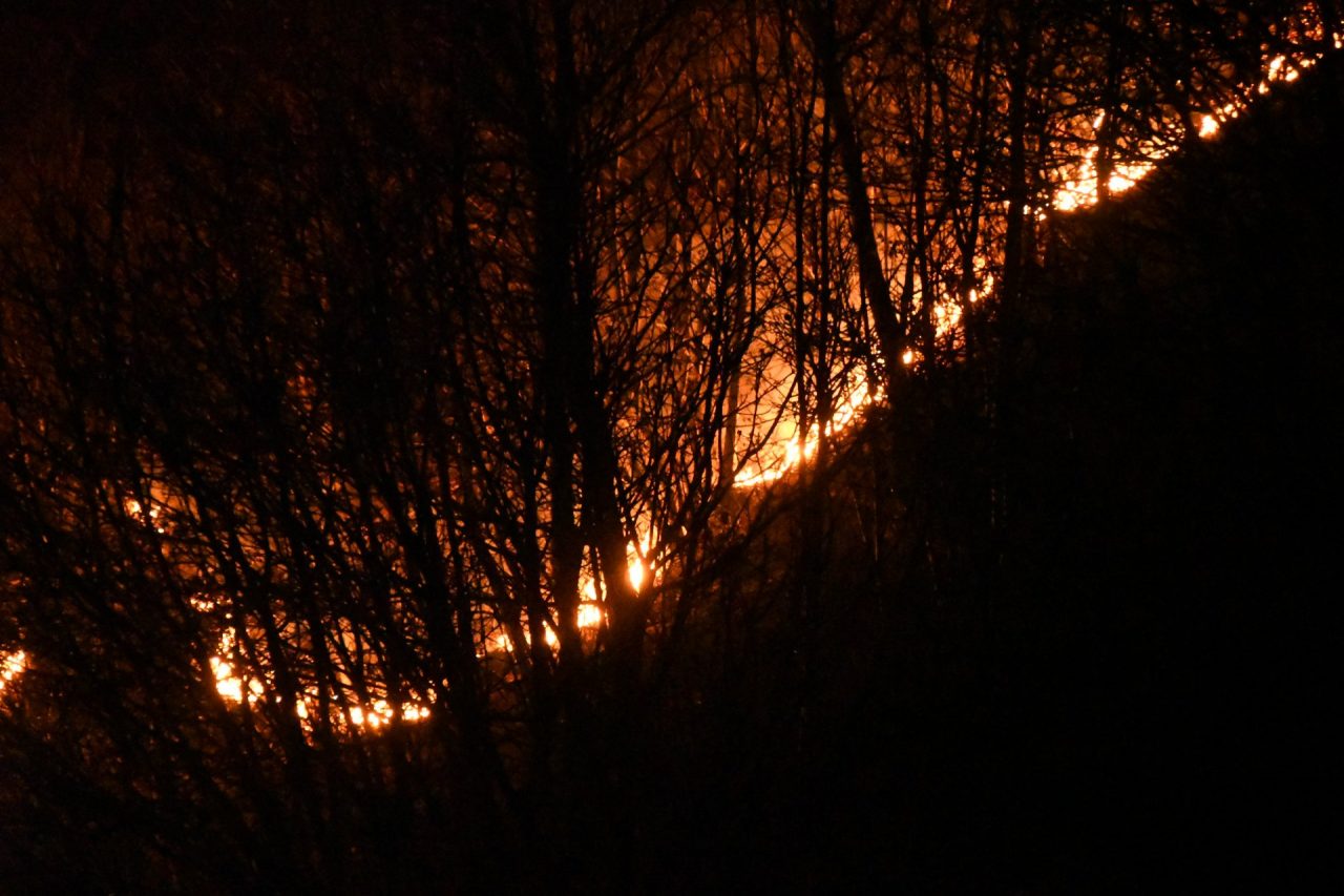 Incendi, Pd attacca: “Regione assente sulla prevenzione”