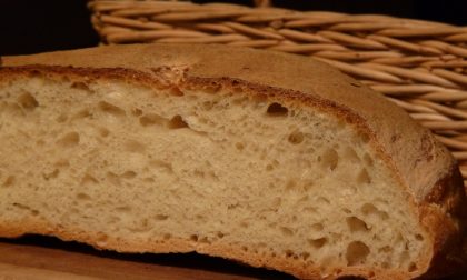 Pane fresco o conservato? Da domani lo sapremo dall'etichetta