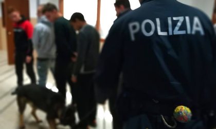 Cani antidroga della Polizia tra i banchi dei Salesiani