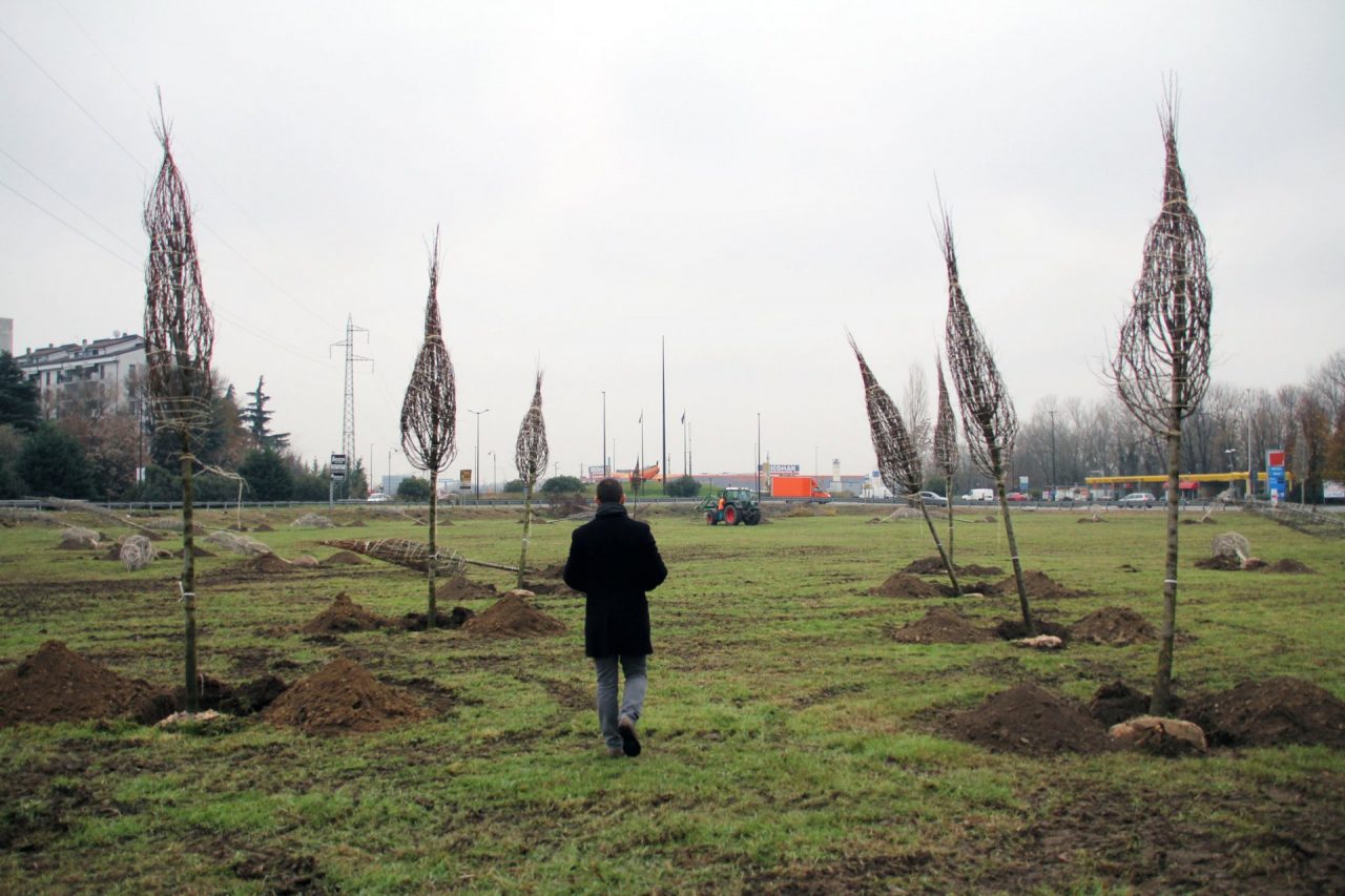 Segrate, piantati 85 alberi nel terreno tra via Cervi e la Cassanese