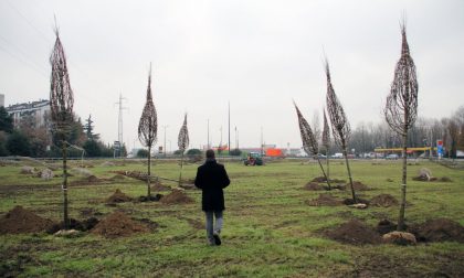Segrate, piantati 85 alberi nel terreno tra via Cervi e la Cassanese