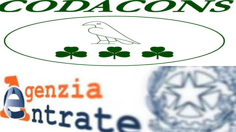 Fatturazione elettronica, esposto del Codacons: “Disservizi”
