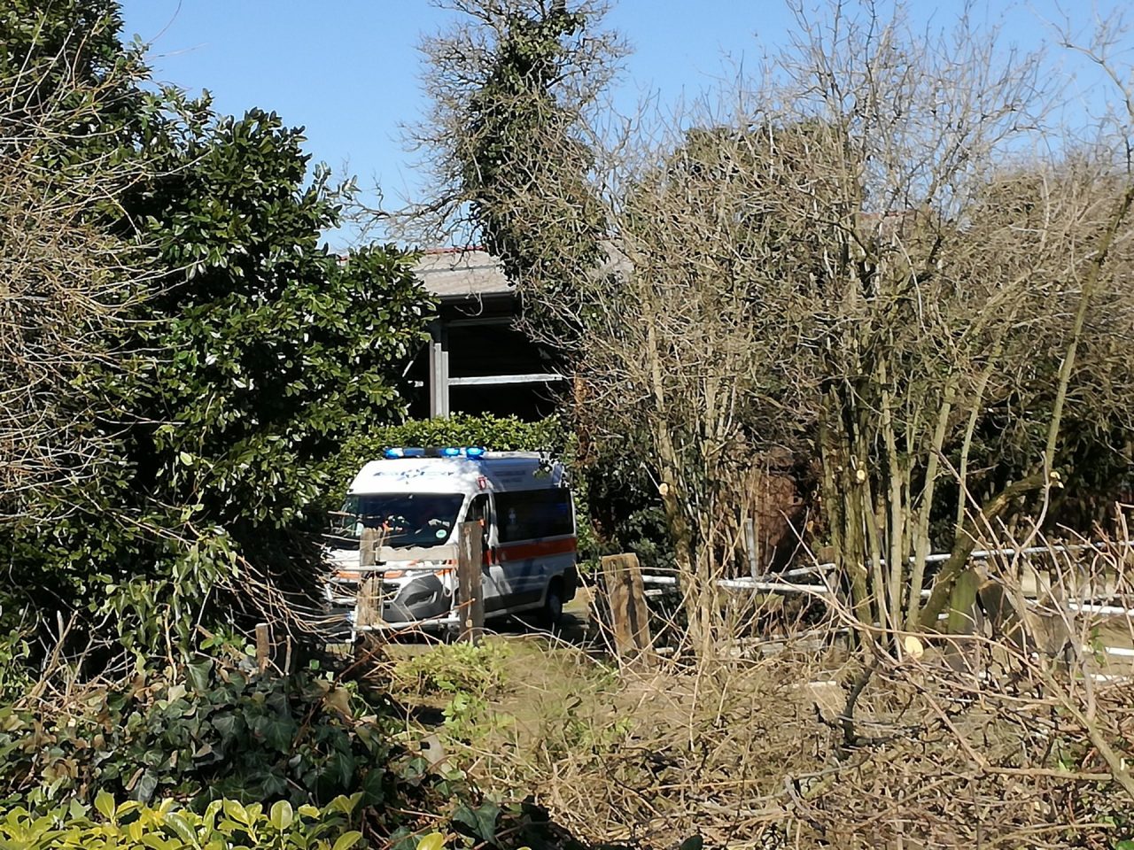Colpita da un cavallo, portata via con l’elisoccorso