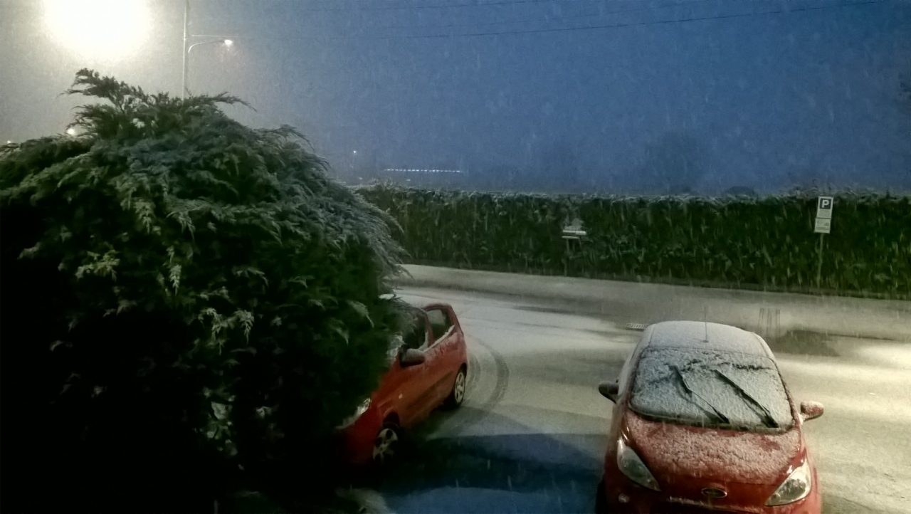 neve