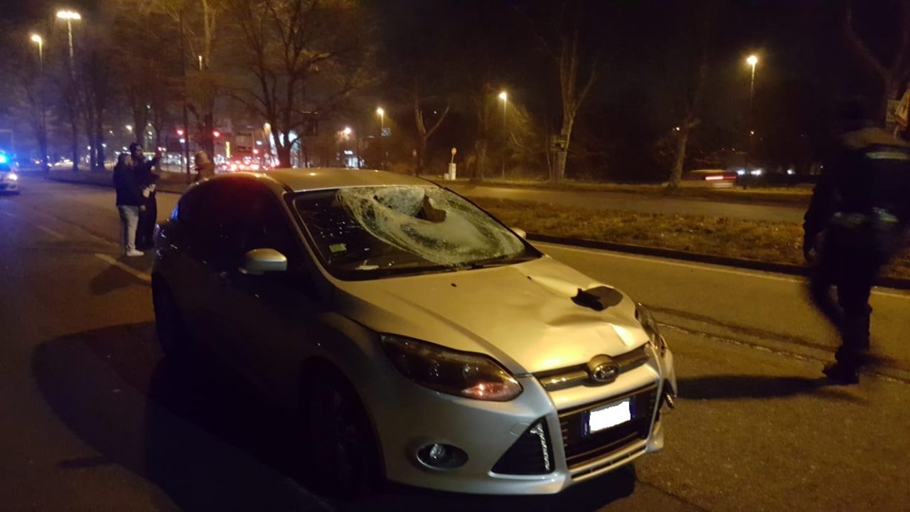 Investito da un’auto: ciclista 40enne morto in ospedale