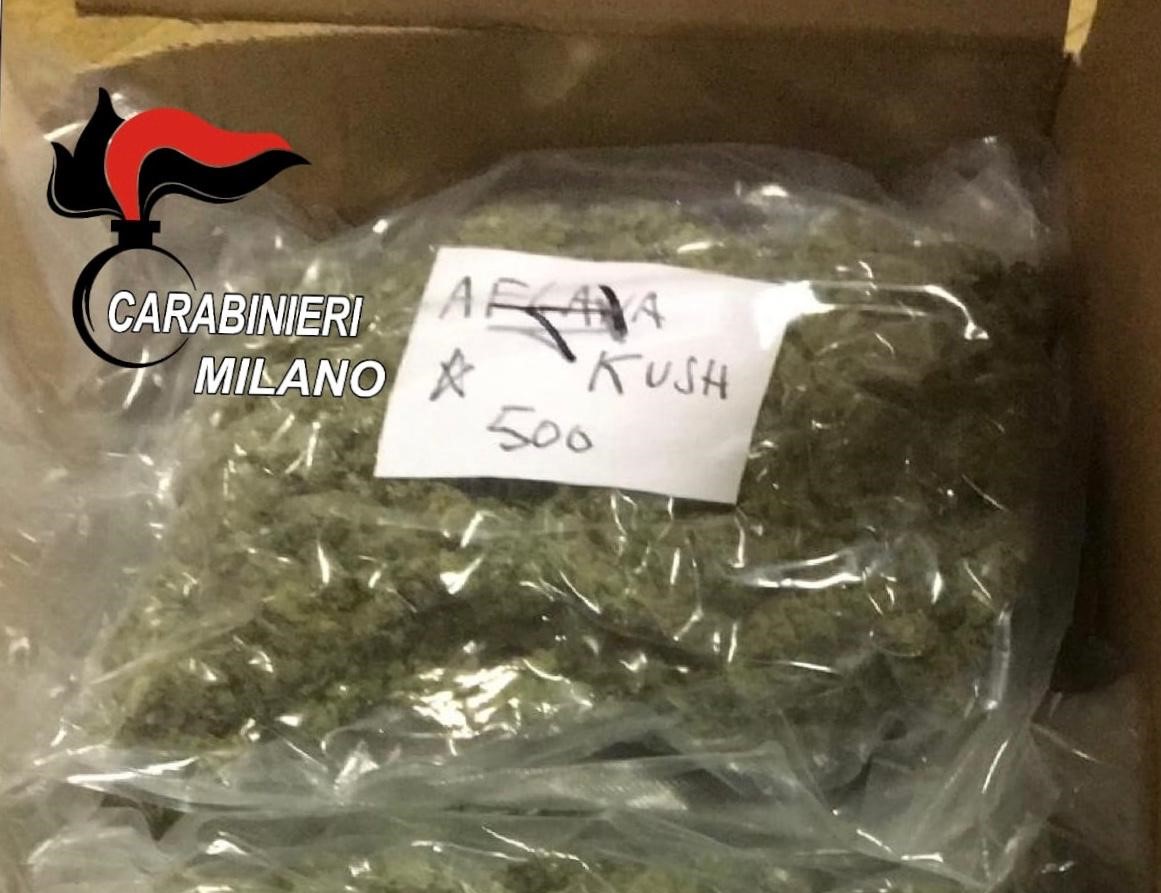 Carabinieri sequestrano 7 chili di droga: arrestato 24enne