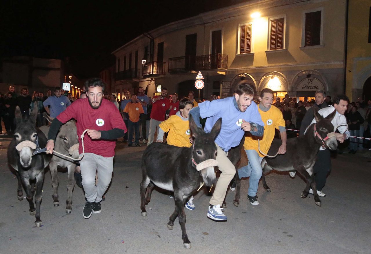 Pro Loco Inzago rinuncia al Palio degli asini