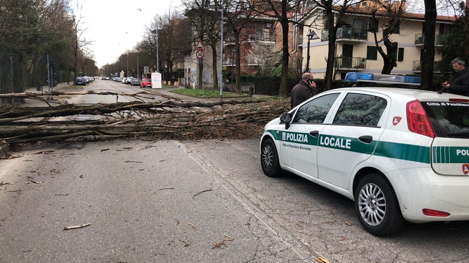 Il vento abbatte un albero, strada chiusa a Peschiera