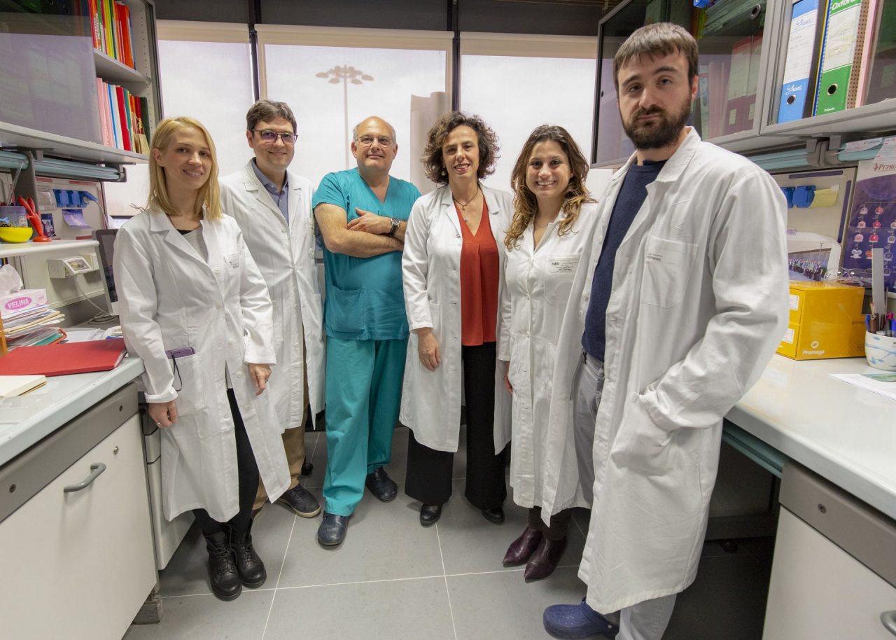 Leucemia mieloide acuta: scoperto come le cellule tumorali sfuggono al sistema immunitario dopo il trapianto di midollo