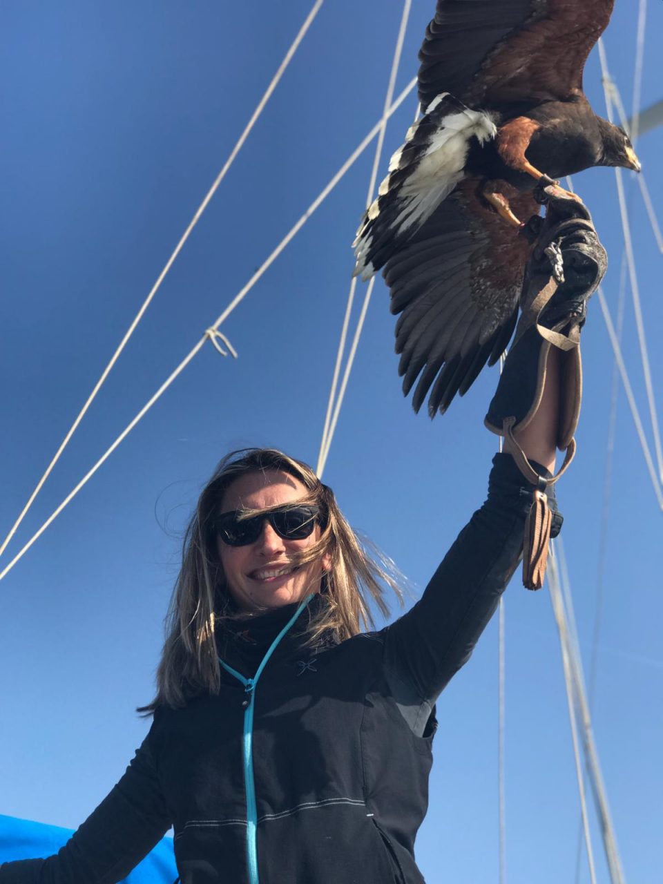 Da Pozzo al mar Ligure per far volare i falchi