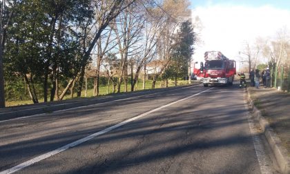 Vento: alberi caduti a Cassina, pompieri in azione a Cologno
